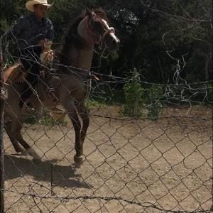 Meet your Posher, Fernando